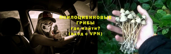 мяу мяу мука Видное