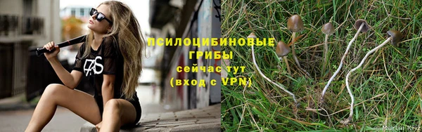 прущие крисы Абаза