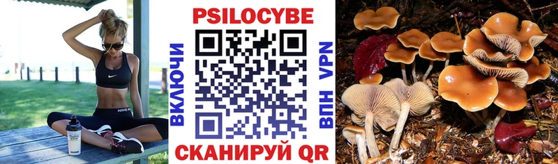 Галлюциногенные грибы MAGIC MUSHROOMS  Райчихинск 